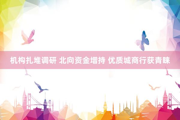 机构扎堆调研 北向资金增持 优质城商行获青睐
