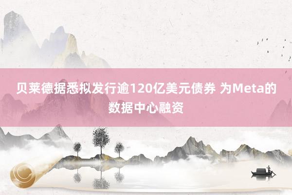贝莱德据悉拟发行逾120亿美元债券 为Meta的数据中心融资