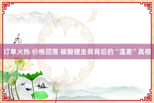订单火热 价格回落 碳酸锂走弱背后的“温差”真相
